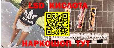 ПСИЛОЦИБИНОВЫЕ ГРИБЫ Обнинск