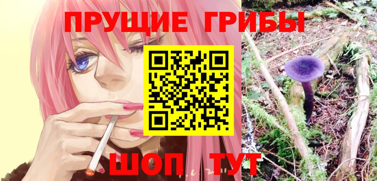 Псилоцибиновые грибы мицелий  Вход с VPN  Псилоцибиновые грибы Psilocybine cubensis  Узловая 