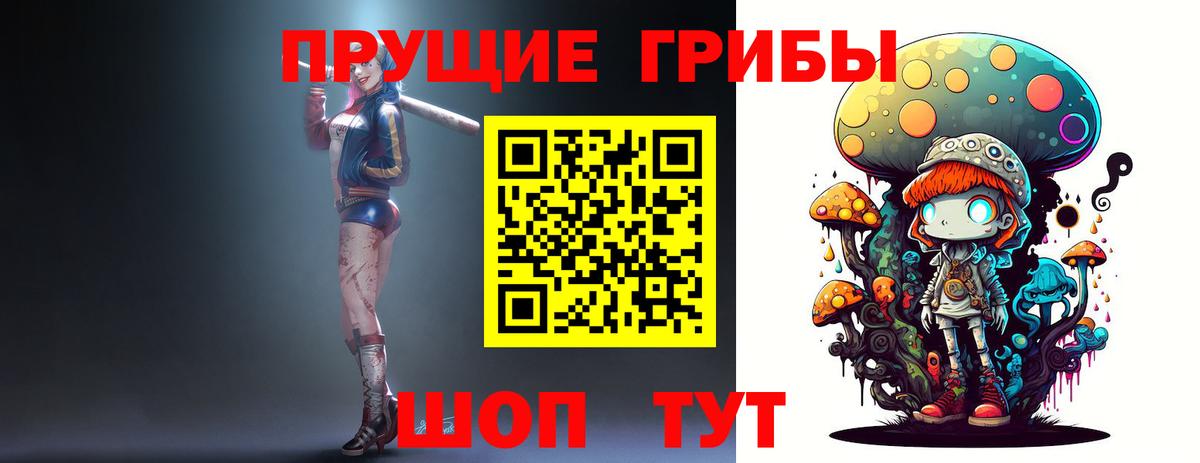Псилоцибиновые грибы Cubensis Узловая